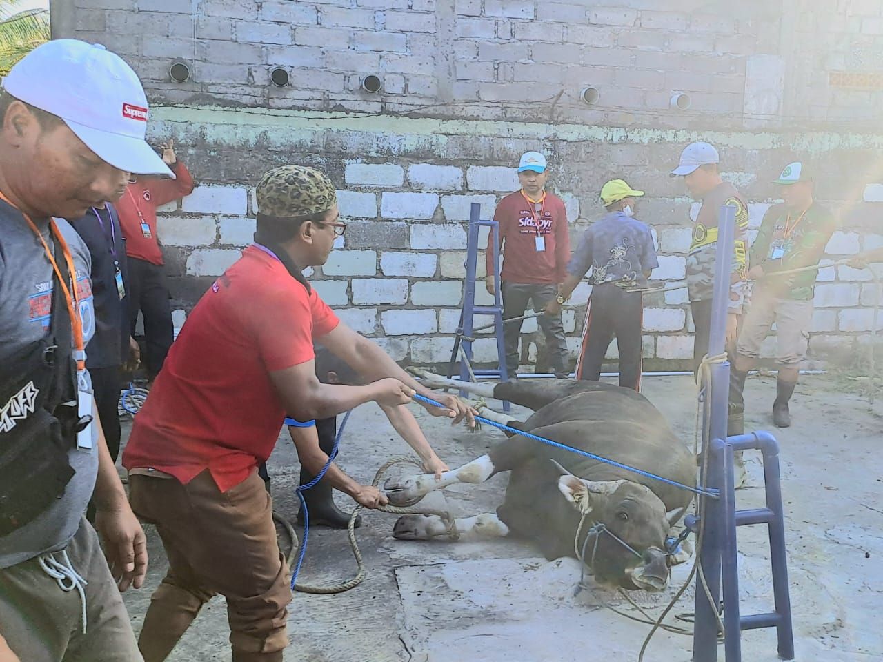 podiumnews.com-Al Hijrah Salurkan 450 Paket Daging